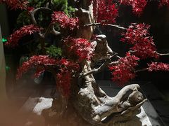 -新盈光·云会所(百丈东路店)