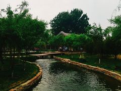 -春风习习
