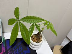 -圣夜东北菜烧烤·夜宵·龙虾(胥江路店)