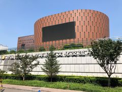 -中国宋庆龄青少年科技文化交流中心