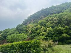 -春娟茶楼·地道农家菜(梅家坞店)