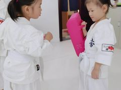 -极真空手道修远道场