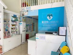 -爱贝特动物医院·猫口炎专科