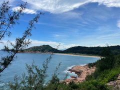 -广东惠东海龟国家级自然保护区