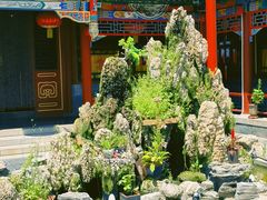 -白家大院·王府宫廷菜(苏州街店)