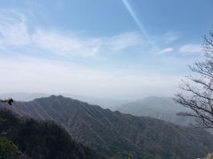-王顺山国家森林公园