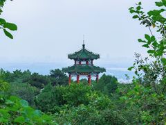 -北京西山国家森林公园