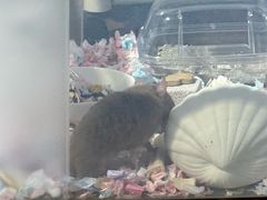 -兰湘子·湘菜小炒(长安万科广场店)