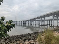 -深圳湾公园(南山区)