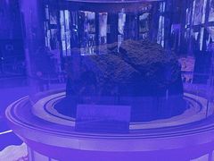 -吉林市博物馆