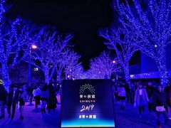 -涩谷区