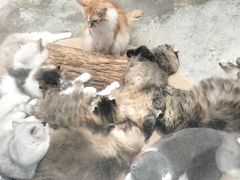 -大家乐(广州白云三元里2店)