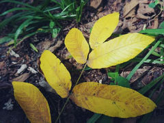 android_upload_pic-三块石国家森林公园