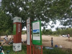 -东郊湿地公园