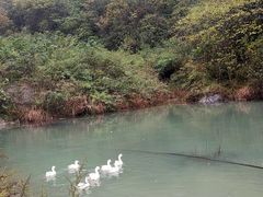 -鹿院坪生态旅游景区