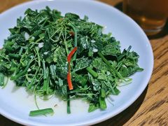 清炒丝瓜苗-一坐一忘云南菜(三里屯店)