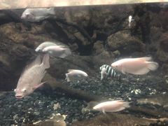 -台州海洋世界
