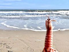 -北戴河东海水浴场