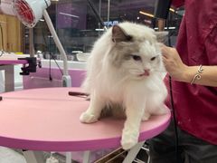 -FAELING PETS美天灵宠物(富力广场店)