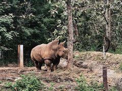 -清迈夜间动物园