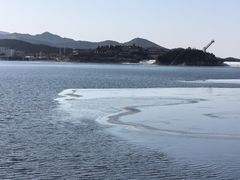 -望湖烤鱼