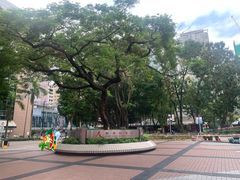 -香港科学馆