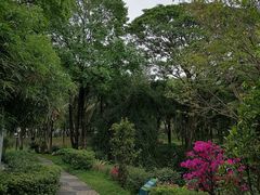 -荔香公园