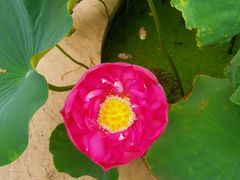 -南戴河国际娱乐中心