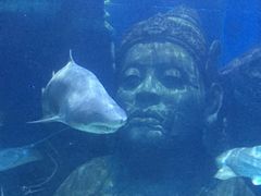 -暹罗海洋世界