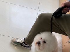 -美联众合动物医院·24h京西诊疗中心