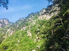 -罗田天堂寨风景区