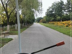 -永定河休闲森林公园