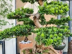 -理疗君·古法推拿姜疗SPA馆(东门店)