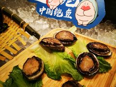 -鲤鱼洲酒店港鲤咖啡厅
