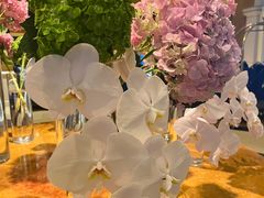 -澳门十六浦索菲特大酒店