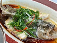 -院里寻菜·精致庭院菜(观沙岭店)