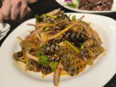 -河畔春天时尚餐厅