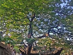 -晋祠博物馆