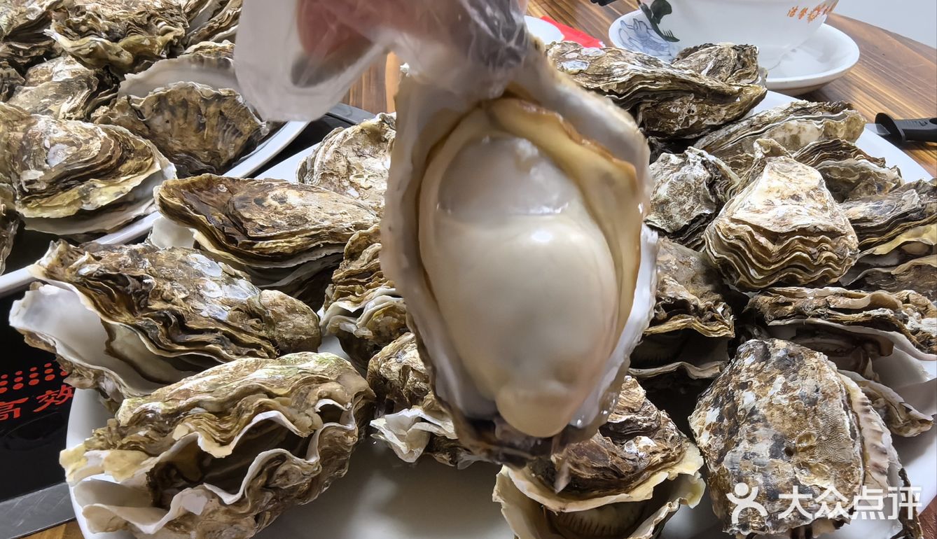 苏岗村里有肥嘟嘟的生蚝吃噢！