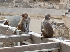 -太子山公园(园东路)