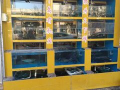 -淳安二十八道·美食汇·淳鱼馆(阳光路店)
