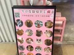 -喵匠猫主题咖啡(凯德和平广场店)