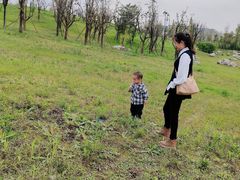 -白鹭湾湿地公园