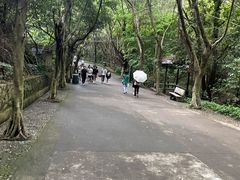-滴水岩森林公园