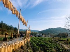 -塔川景区