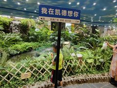 -凯德广场(学府店)