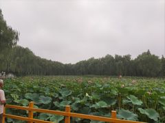 -东升八家郊野公园