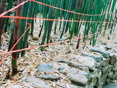 -竹泉村旅游度假区