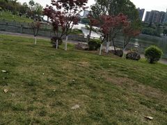 -眉山湿地公园(东坡区)
