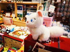 -猫的天空之城概念书店(束河店)